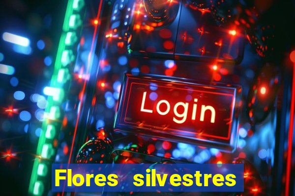 Flores silvestres brasileiras 25